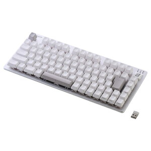 GR Q[~OL[{[h V custom VK520L TK-VK520LWH zCg TKVK520LWH ([ڈ1-2T) Bluetooth