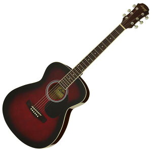 Legend FG-15 RS AR[XeBbNM^[/tH[NM^[ (Nbv`[i[EsbNx2EXgbvE\tgP[Xt) ([ڈ1-2T)