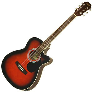 Legend FG-15CE BS GAR (Nbv`[i[EsbNx2EXgbvE\tgP[Xt) ([ڈ1-2T)