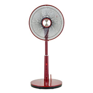  DC[^[ڃRtrO@ GF-DC325FR-R bh GFDC325FRR ([ڈ2-3T)
