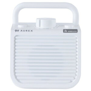  erpXs[J[q@ AX-WST1EX(W) ([ڈ1-2T) AXWST1EXW