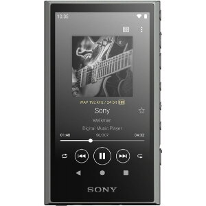 SONY fW^I[fBIv[[ (32GB) EH[N} NW-A306 H O[ NWA306H ([ڈ1-2T)