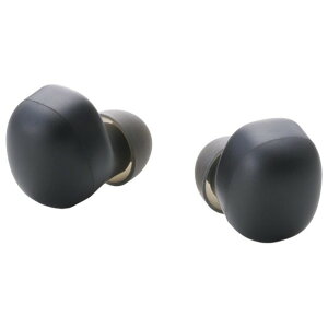 �G���R�� ���S���C�����X�C���z�� LBT-TWS19BK �u���b�N LBTTWS19BK (�[���ڈ�1-2�T��)