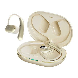 KINGLUCKY �I�[�v���C���[�^ (��C�`����) ���S���C�����X�C���t�H�� i31Pro Max �S�[���h I31PROMAXGD (�[���ڈ�3�T��~)