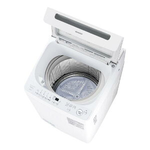 V[v 10.0kgCo[^[S@ ES-GV10K-W zCgn ESGV10KW zGAWݒu