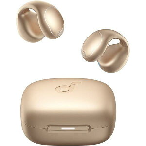 Anker �C���[�J�t�^ �t�����C�����X�C���z�� Soundcore C40i ���[�Y�S�[���h A3331NB1 (�[���ڈ�3�T��~)