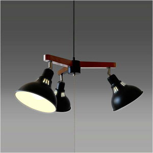 �^�L�Y�~ LED�V�����f���A �u���b�N GL3065CHBK (�[���ڈ�1-2�T��) �_�����Ƃ���ɃX�|�b�g�� �����͂��̂�