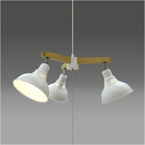 �^�L�Y�~ LED�V�����f���A �z���C�g GL3065CHWH (�[���ڈ�1-2�T��) �_�����Ƃ���ɃX�|�b�g�� �����͂��̂�