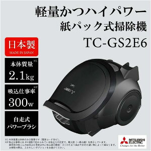 �O�H ���p�b�N�^�C�v �������p���[�u���V�N���[�i�[ Be-K�V���[�Y TC-GS2E6-B �}�b�g�u���b�N TCGS2E6B (�[���ڈ�1-2�T��)