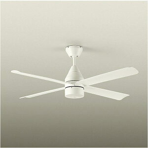 �_�C�R�E�f���L DC���[�^�[���ڃV�[�����O�t�@�� ����Ȃ� ASN-016 �� ASN016 (�[���ڈ�1-2�T��) �����͂̂݁F���֐�܂�