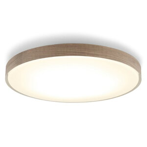 �A�C���X�I�[���} LED�V�[�����O���C�g 8�� �������F CEK8DL-7.0WFT (�[���ڈ�1-2�T��) CEK8DL70WFT ���z���̂� ���͂��͌��ւ܂�