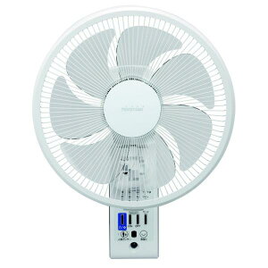 �g���g�~ AC�Ǌ|����@ �z���C�g FWS30RW (�[���ڈ�2-3�T��)