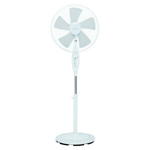 �g���g�~ �t���AAC��@ �z���C�g FSF40RW (�[���ڈ�2-3�T��)