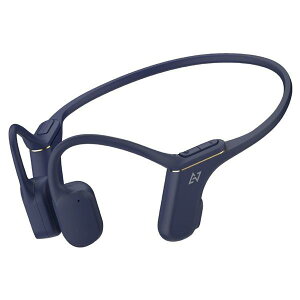AVIOT ���`���C���z�� WB-P1-NV �h�[���l�C�r�[ WBP1NV (�[���ڈ�2-3�T��)
