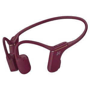 AVIOT ���`���C���z�� WB-P1-RD �_�[�N���[�W�� WBP1RD (�[���ڈ�2-3�T��)