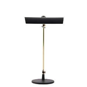 �X���� LED�X�^���h SWAN LEDIC EXARM�ENY LEX-1100BK �u���b�N LEX1100BK (�[���ڈ�2-3�T��)