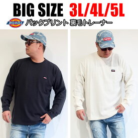 メンズ 大きいサイズ ブランド Dickies ディッキーズ Tシャツ 長袖 3L 4L 5L 黒 ブラック ベージュ アイボリー ネイビー オーバーサイズ ビックシルエット プリント ワンポイント レディース ユニセックス ペア オススメ