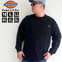 メンズ 大きいサイズ ブランド Dickies ディッキーズ Tシャツ 長袖 綿100％ 胸ポケット M L XL 3L 4L 5L 黒 白 ブラック ホワイト カーキ グレー オーバーサイズ ビックシルエット プリント ワンポイント レディース ユニセックス ペア オススメ 春 秋 冬