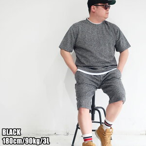 Y 傫TCY ZbgAbv uh LOUIS CHAVLON TVc n[tpc pCf 3L 4L 5L ㉺Zbg ㉺ [EGA  pW} NVOEGA TVc V[gp