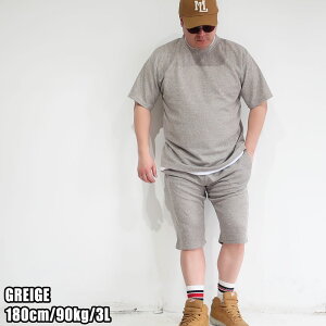 Y 傫TCY ZbgAbv uh LOUIS CHAVLON TVc n[tpc pCf 3L 4L 5L ㉺Zbg ㉺ [EGA  pW} NVOEGA TVc V[gp