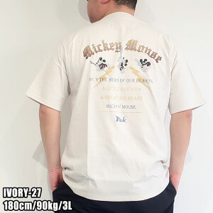 Y 傫TCY uh Disney fBYj[ TVc  3L 4L 5L fB[X jZbNX LN^[ 100 ~bL[ Be[W vg eB[Vc bN oh sO