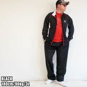 W[W ㉺ Y 傫TCY ZbgAbv 3L 4L 5L rbNTCY LOTCY NԒ  [EGA  ubN lCr[ `R[ l 30 40 50  