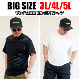 メンズ 大きいサイズ Tシャツ 半袖 3L 4L XXL XXXL プリント 丸首 vネック クルーネック ビックサイズ キングサイズ ストリート ガールズプリント ロゴ 黒 白 ブラック ホワイト アメカジ カジュアル 大人 30代 40代 50代