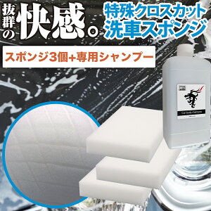 傷 カーシャンプー 洗車用品の人気商品 通販 価格比較 価格 Com