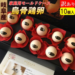 y󂠂z G{ 10 ƒp y[hP[XzHp 