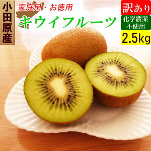 Y LEC 2.5kg 󂠂 KiO I[KjbN LECt[c Yn  ƒp