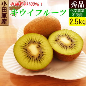 国産 キウイ 秀品 2.5kg キウイフルーツ 産地直送 お取り寄せギフト