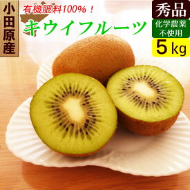 国産 キウイ 5kg 秀品 グリーン キウイフルーツ ダイエット ギフト 産地直送 お取り寄せ 贈り物にも【送料無料】