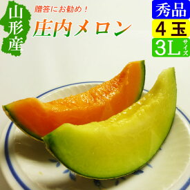 【選べるメロン】山形産 庄内メロン 秀品 大玉 3Lサイズ 4玉入 5kg 産地直送 お取り寄せ 家庭用・お中元にも