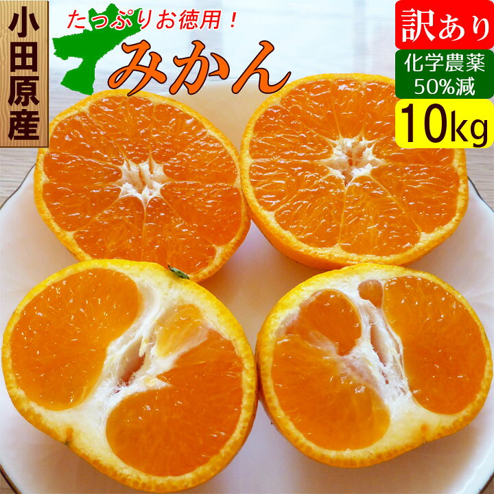 楽天市場 青島 みかん 訳あり 10kg 規格外 激安ミカン 家庭用 甘い 産地直送 でこぼこ倶楽部