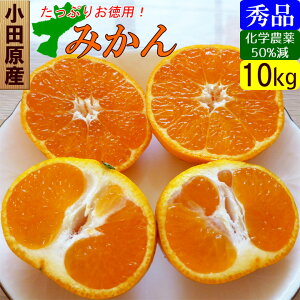 cY ݂ Gi 10kg  Yn 񂹃Mtg Â