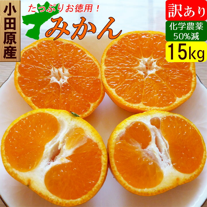 楽天市場 青島みかん 訳あり 15kg 規格外 甘いみかん 激安 産地直送 でこぼこ倶楽部