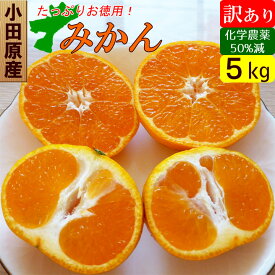 みかん 訳あり 5kg 規格外 家庭用 甘いミカン 激安 産地直送 国産 お取り寄せ果物