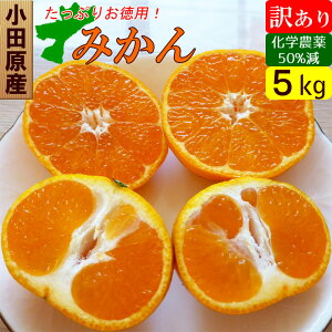 みかん 訳あり 5kg 規格外 家庭用 甘いミカン 激安 産地直送 国産 お取り寄せ果物