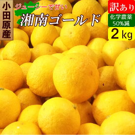神奈川産 湘南ゴールド 訳あり 2キロ 国産 減農薬 産地直送 送料無料 家庭用