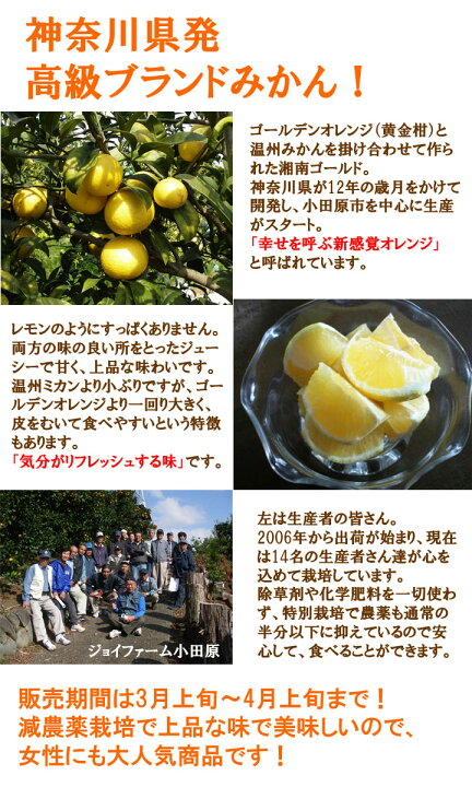 楽天市場】小田原産 湘南ゴールド 訳あり B品 10キロ 減農薬！家庭用 