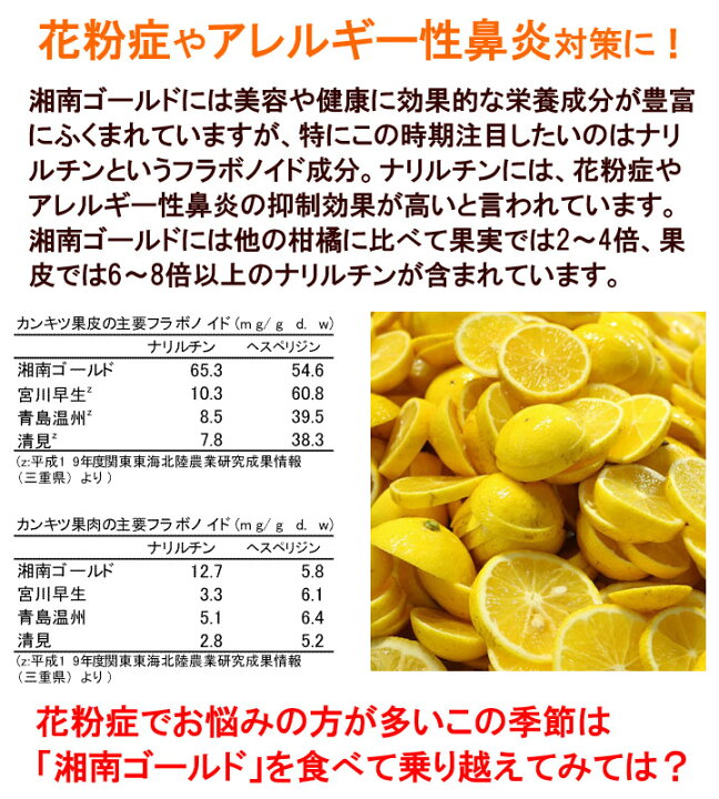 楽天市場】小田原産 湘南ゴールド 訳あり B品 10キロ 減農薬！家庭用 