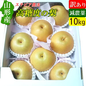 yz R`  󂠂 10kg x