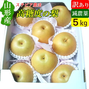 R` x 5kg 󂠂 ƒp a Yn 񂹃t[c