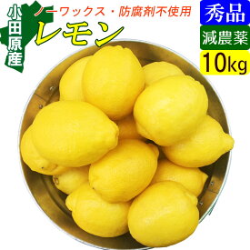 国産レモン 正品 10kg 小田原 特別栽培 有機肥料 減農薬 産地直送 お取り寄せ ギフト
