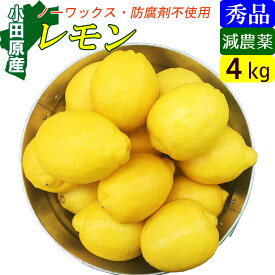 国産 レモン 正品 4kg 特別栽培 産地直送 お取り寄せ ギフト 秀品