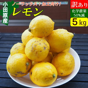 yZ[zY  󂠂 5kg cY m[bNX L@엿  Yn  ƒp p