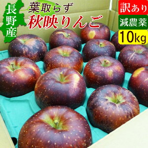 yz 󂠂 Y MB  Hf 10kg KiO̐ԍSI Yn 