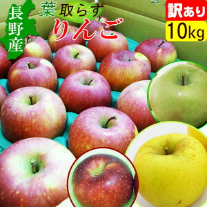  󂠂 t炸 10kg Y S  Yn 