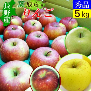 yzY MB 5kg tƂ炸S z{ MtgEɁI Yn 