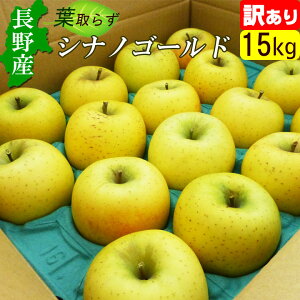 yz 󂠂 Y MB  VimS[h 15kg Ko[ZbgI Yn 